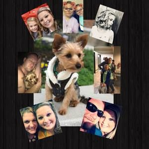 Meet your Posher, Amber